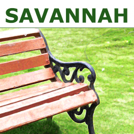 savannah icon